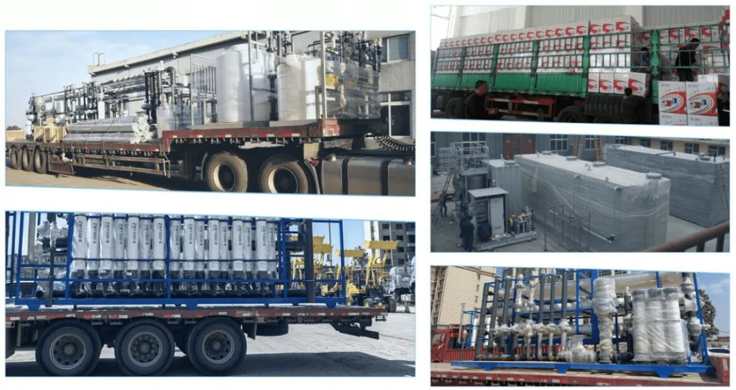 3000lph Brackish Water Treatment Plant RO Desalination System Seawater Desalination Equipment