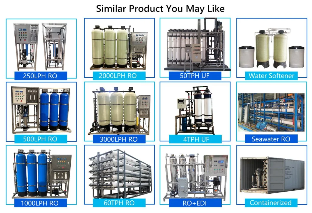 Swro Plant Seawater Filtration System Wellwater Desalination Equipment with RO System